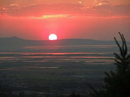 Photograph by Judy Nelson